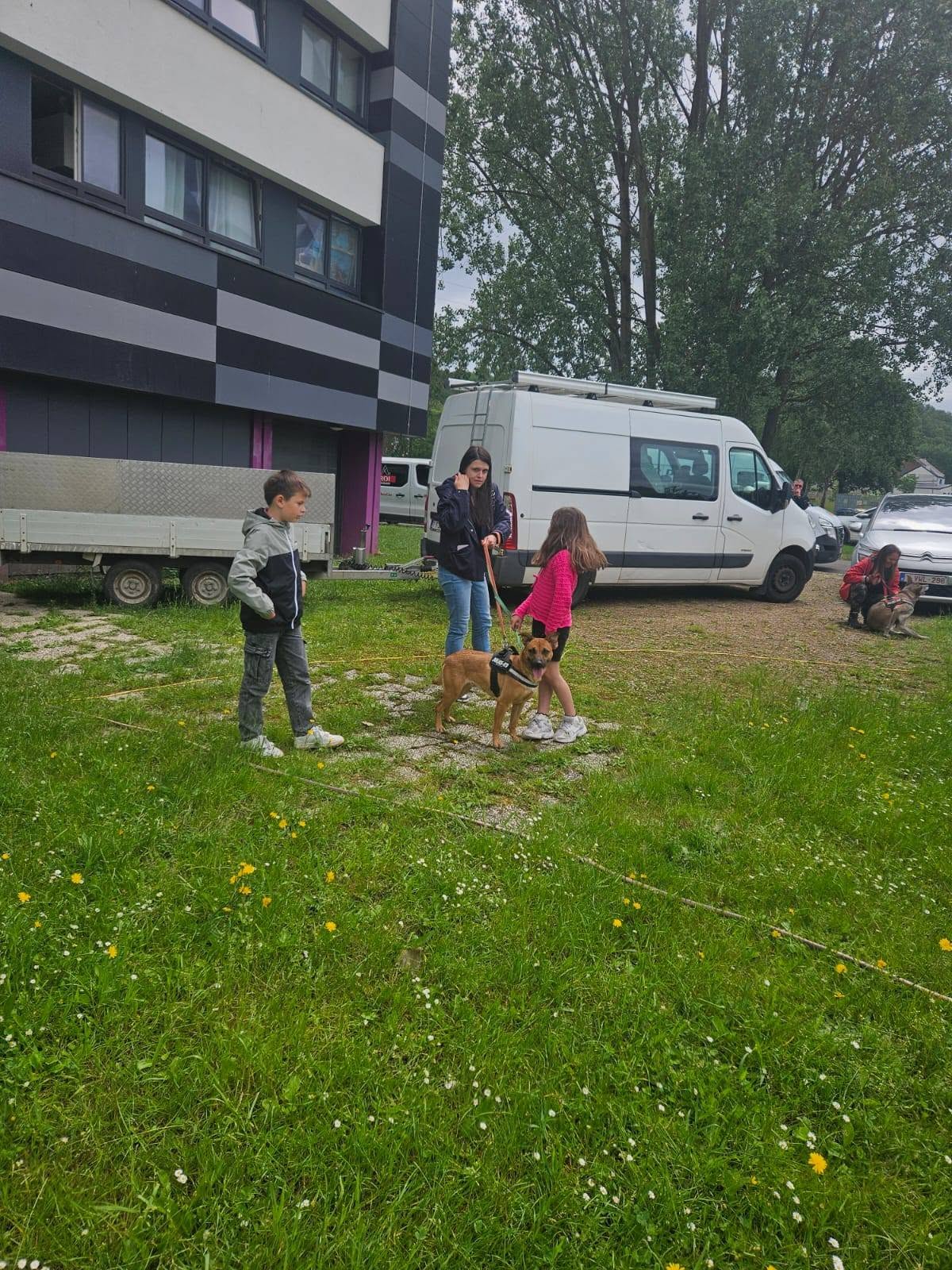 Photo 20 de BALADE CANINE & INITIATIONS