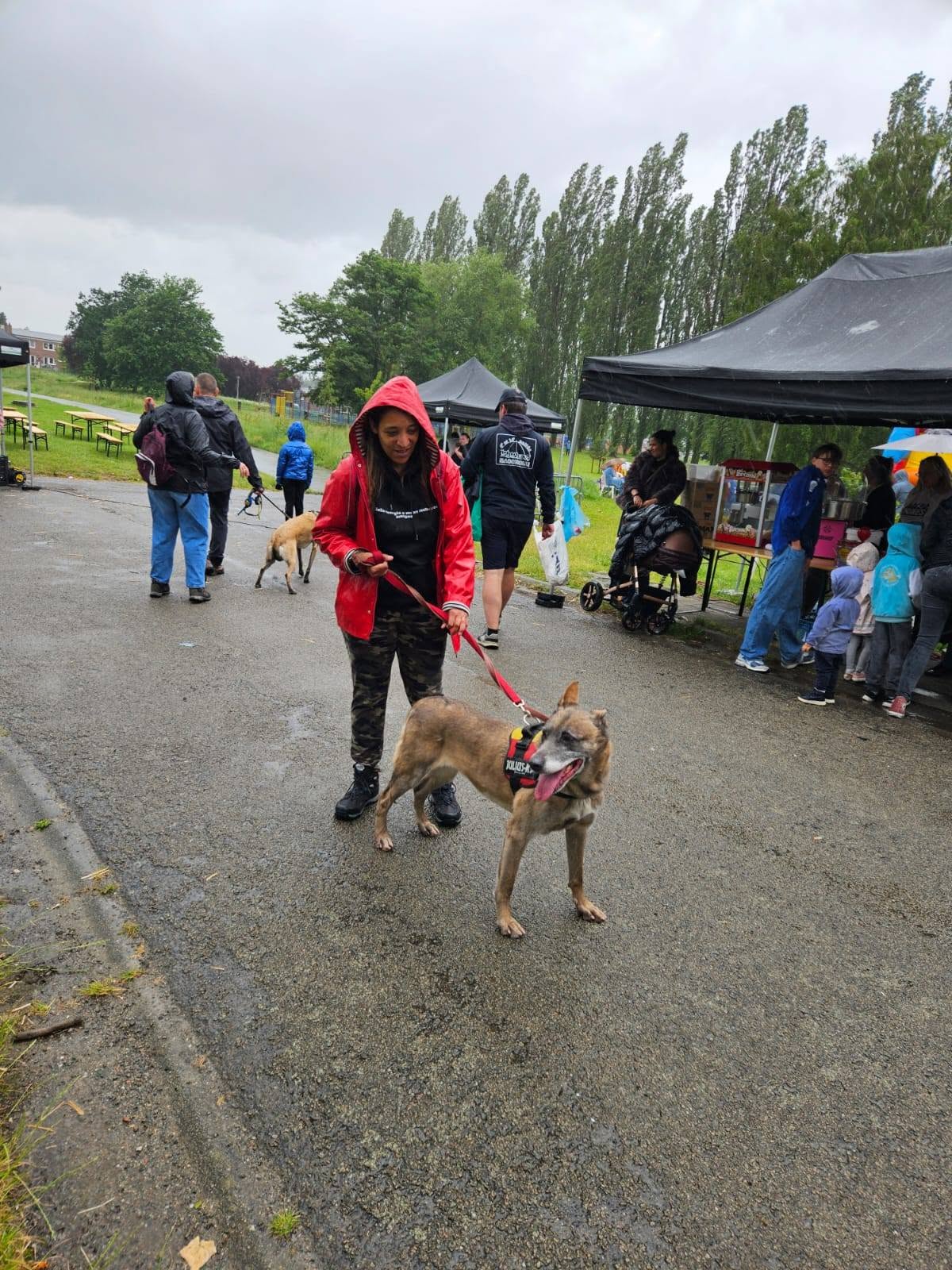 Photo 17 de BALADE CANINE & INITIATIONS