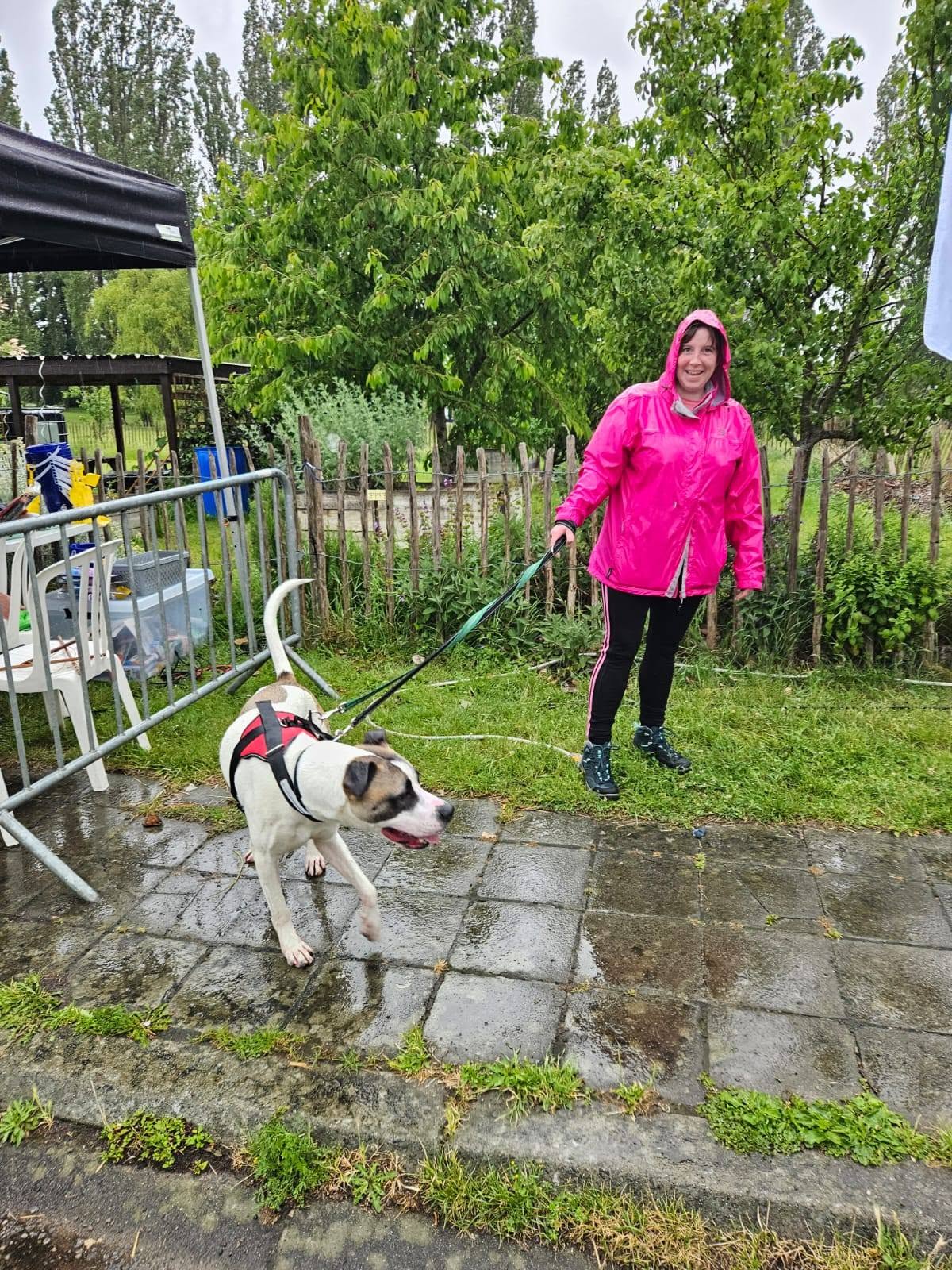 Photo 14 de BALADE CANINE & INITIATIONS