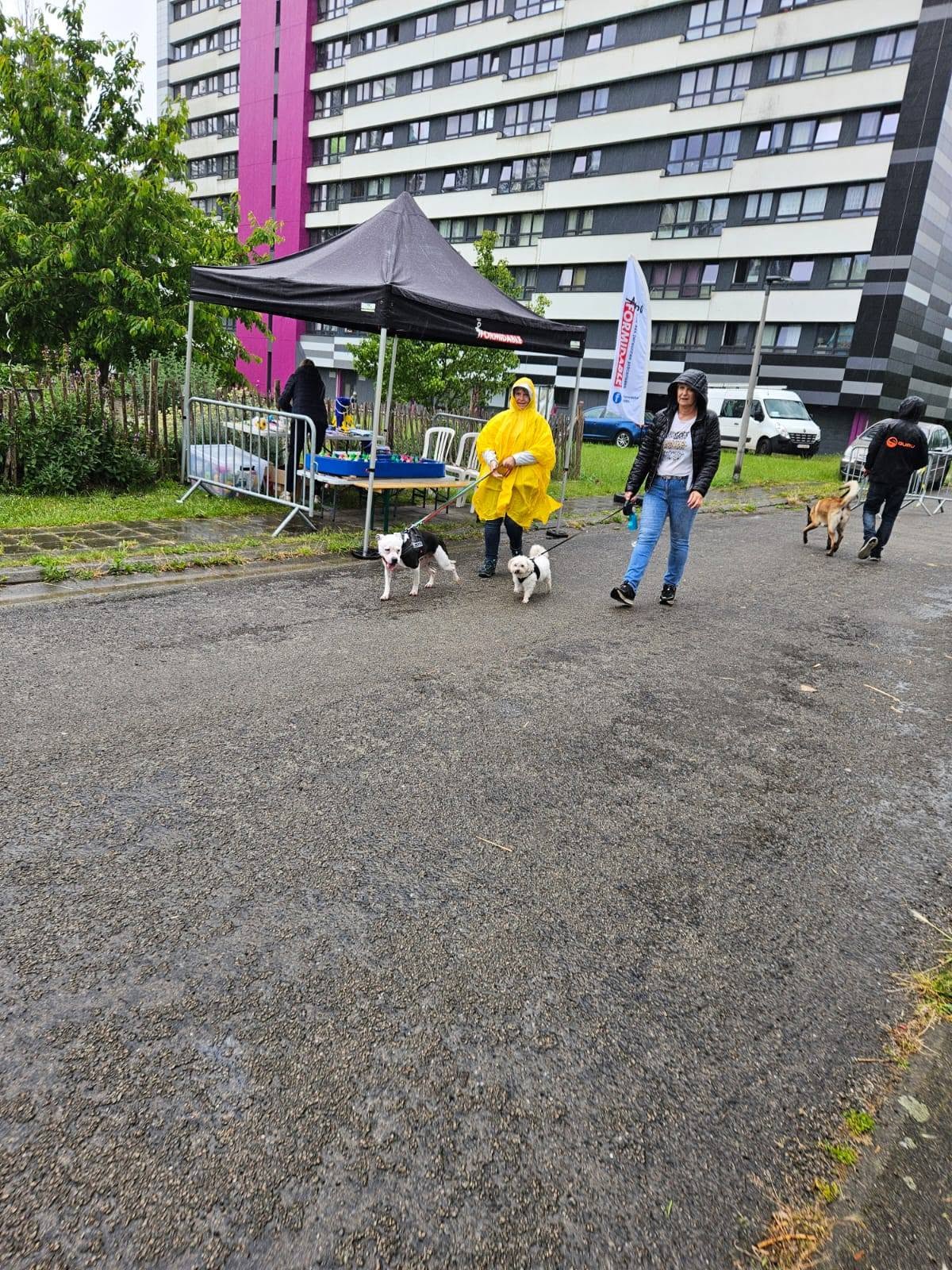 Photo 15 de BALADE CANINE & INITIATIONS