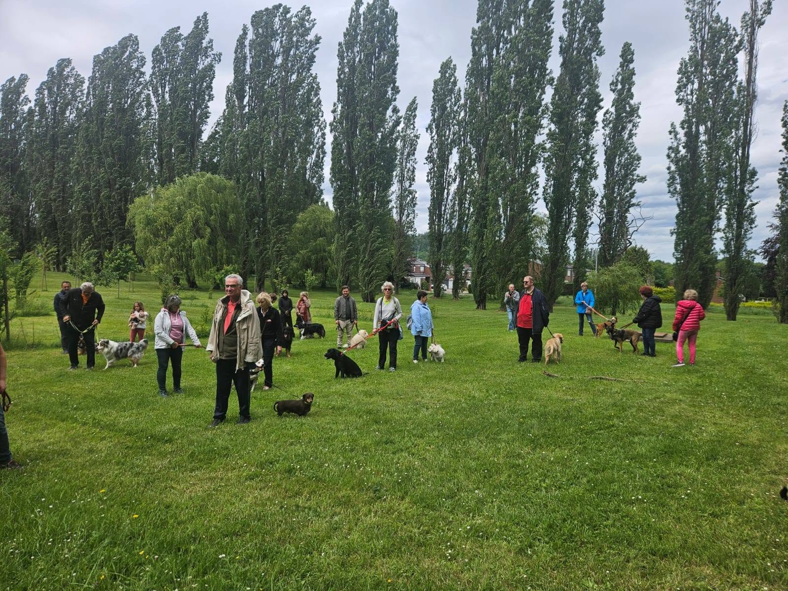Photo 21 de BALADE CANINE & INITIATIONS