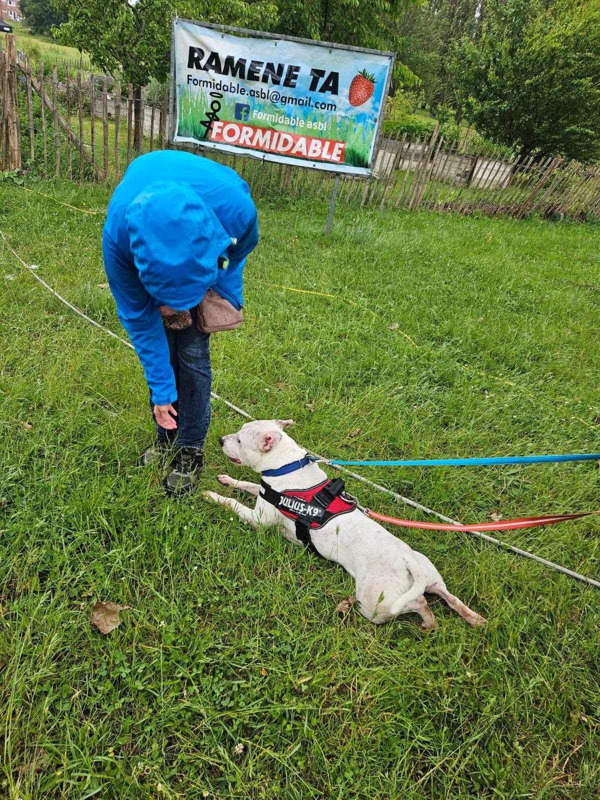 Photo 11 de BALADE CANINE & INITIATIONS