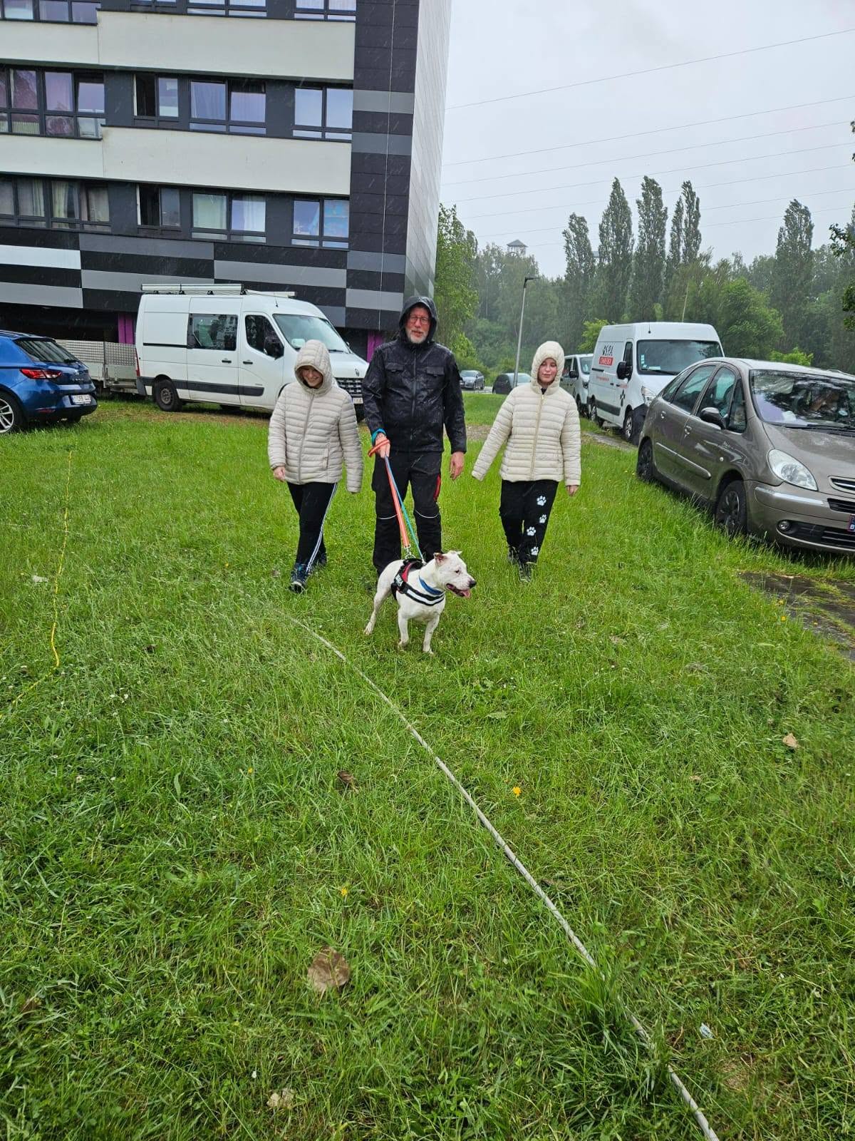 Photo 13 de BALADE CANINE & INITIATIONS
