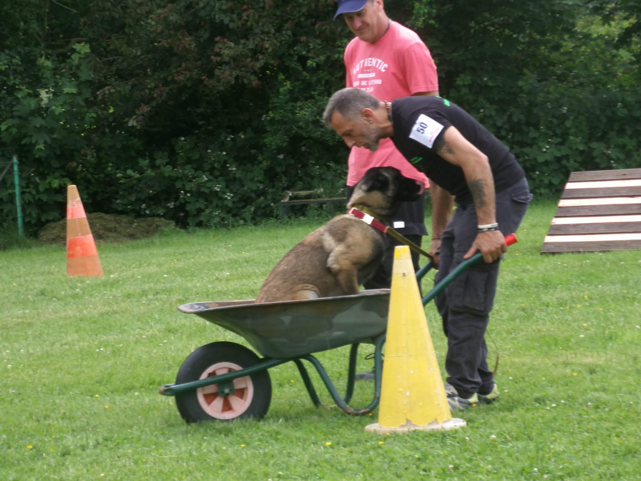 Photo 8 de Intervilles 2026 · Maîtres & Chiens