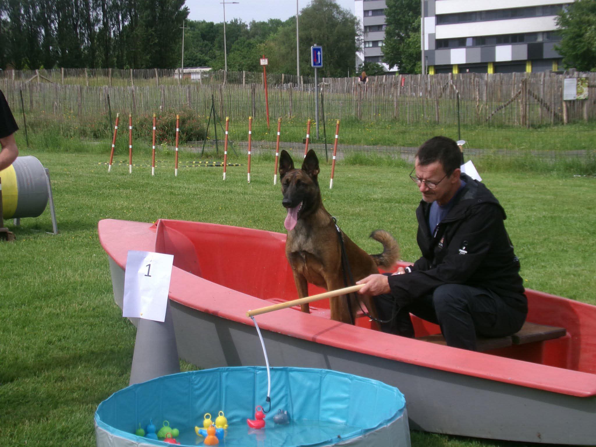 Photo 10 de Intervilles 2026 · Maîtres & Chiens