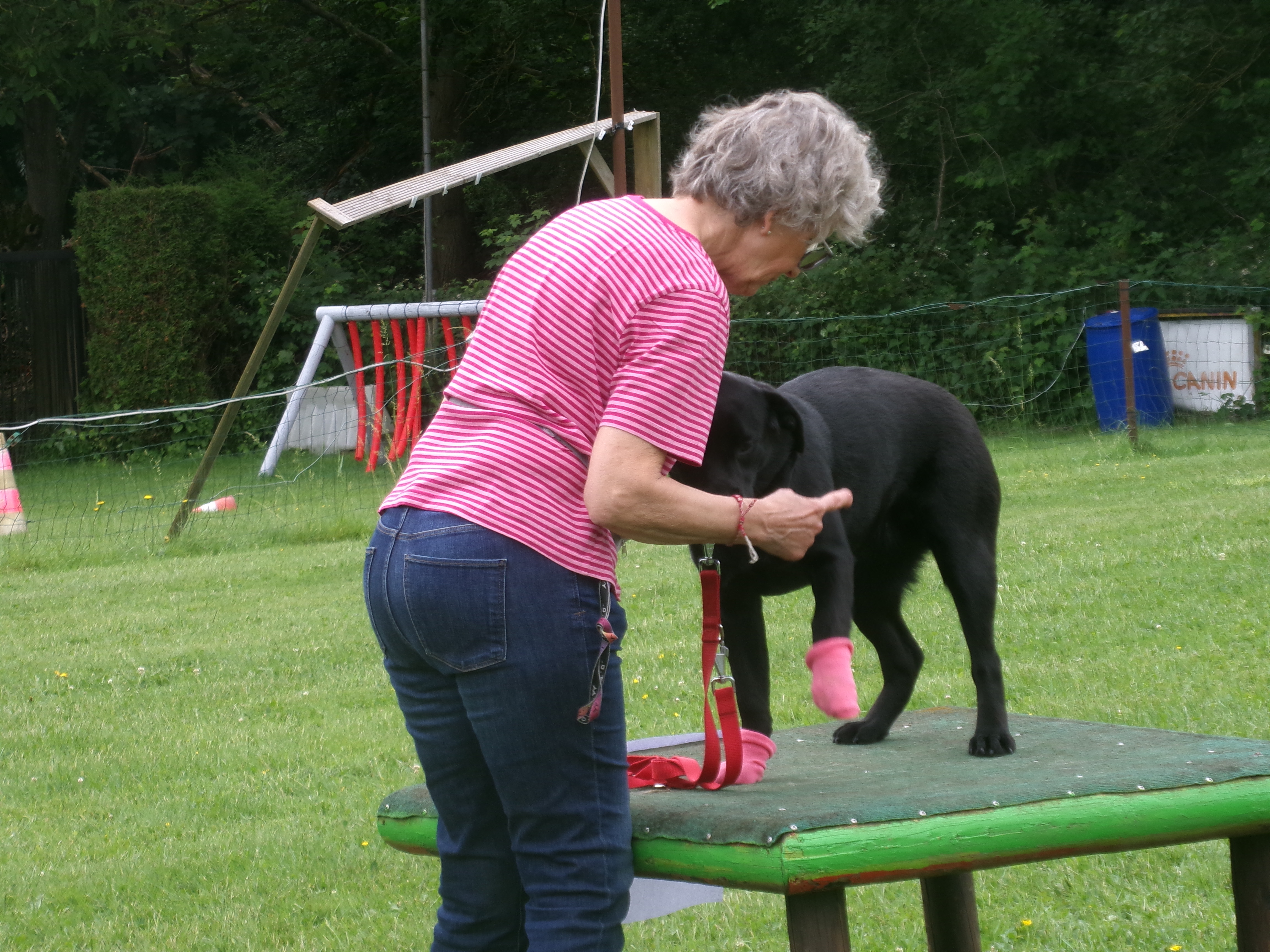 Photo 33 de Intervilles 2026 · Maîtres & Chiens