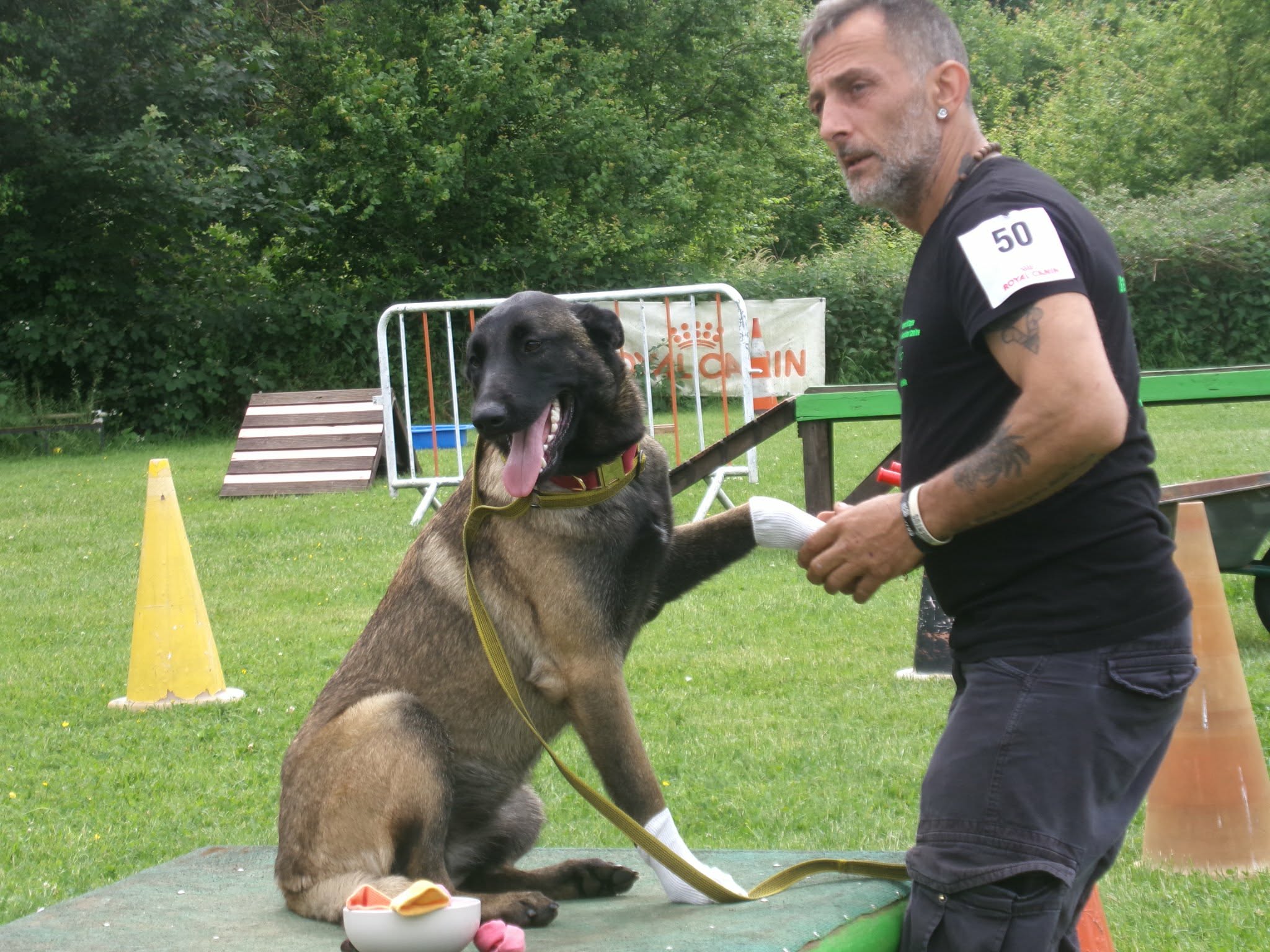 Photo 7 de Intervilles 2026 · Maîtres & Chiens