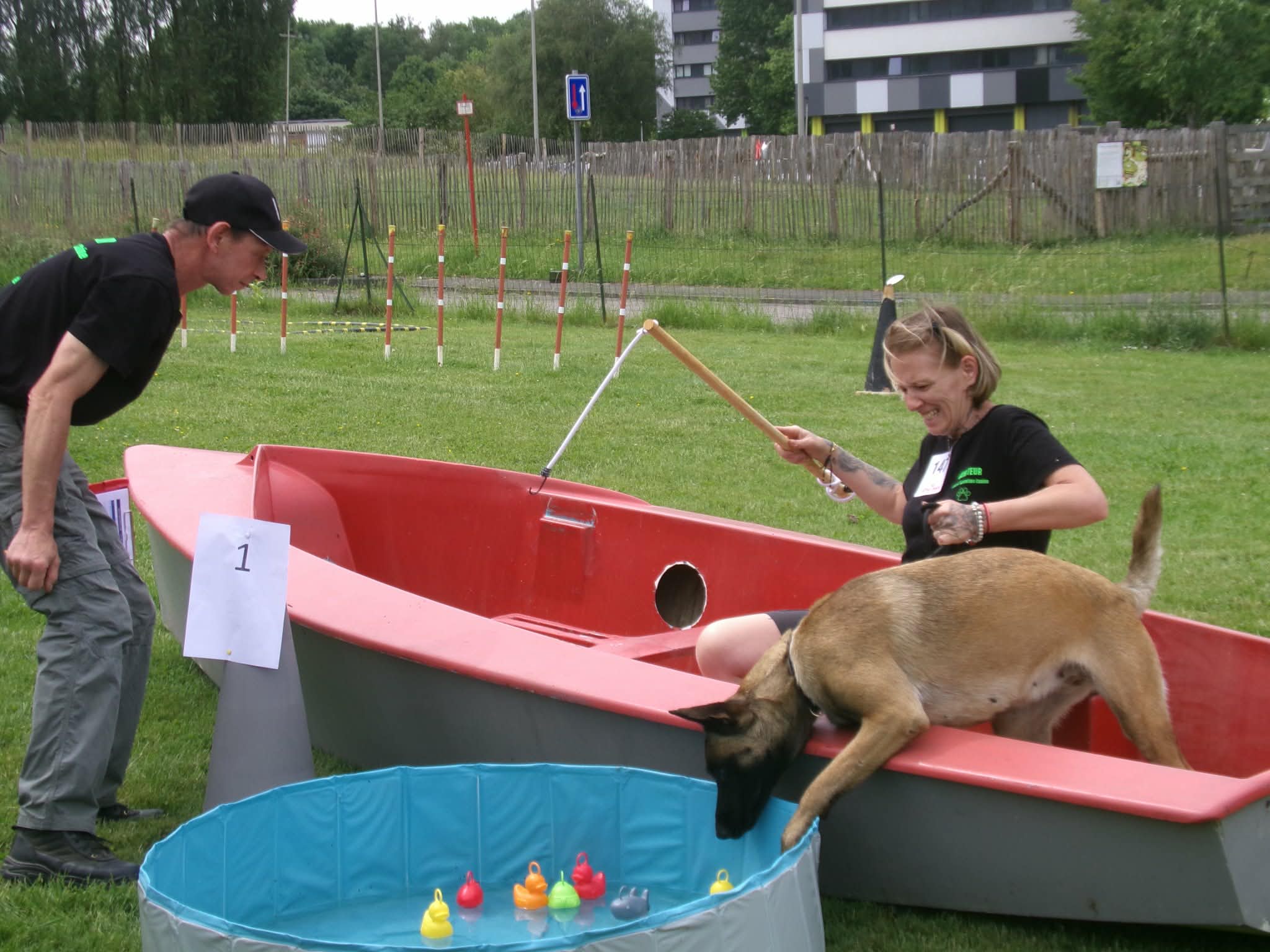 Photo 5 de Intervilles 2026 · Maîtres & Chiens